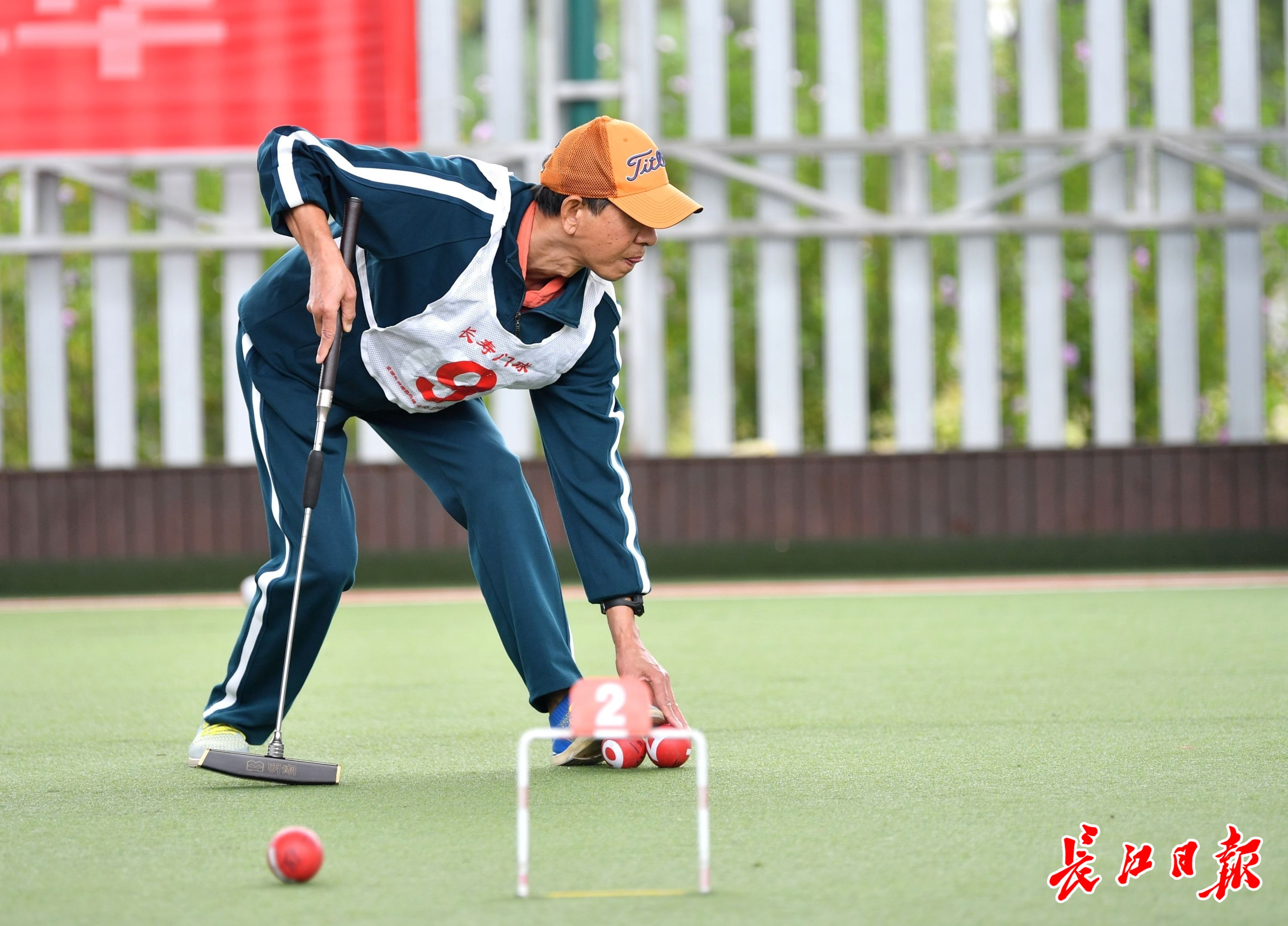 温州门球_(温州门球草) 温州门球_(温州门球草)