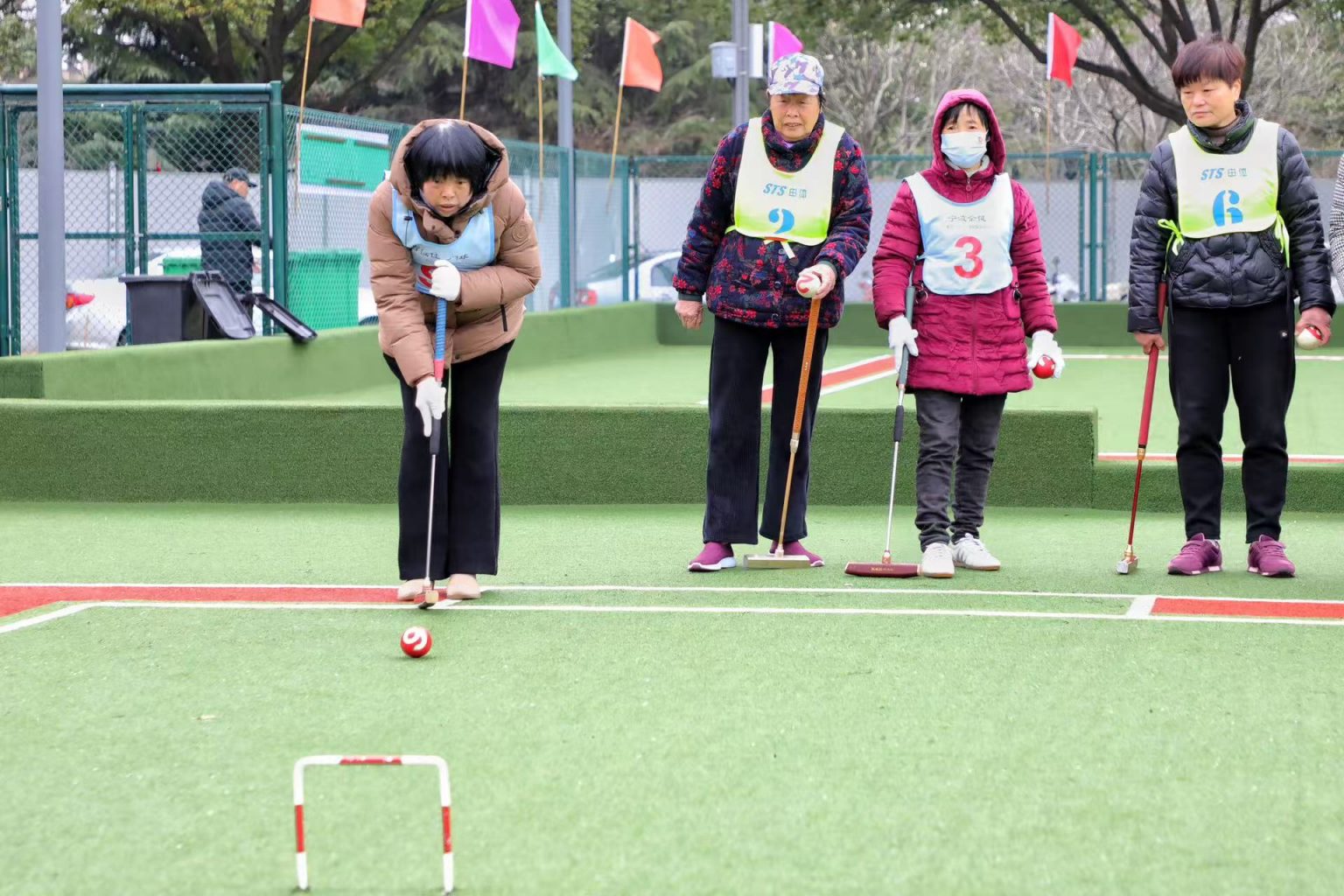 温州门球_(温州门球草) 温州门球_(温州门球草)