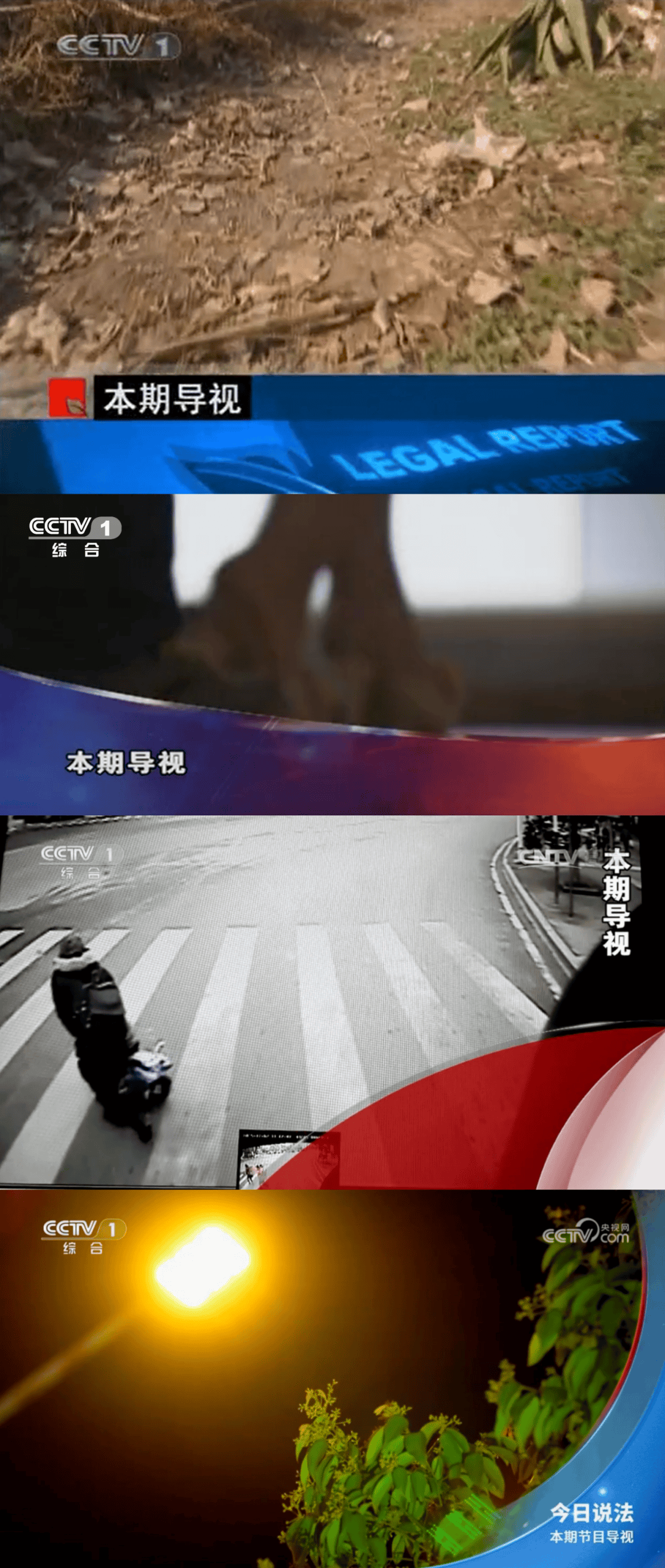 今日说法最新一期_(今日说法最新一期内容) 今日说法最新一期_(今日说法最新一期内容)