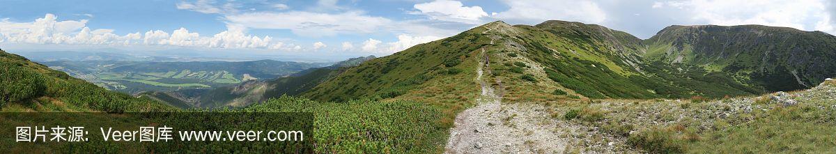 罗哈斯_(利奥罗哈斯) 罗哈斯_(利奥罗哈斯)