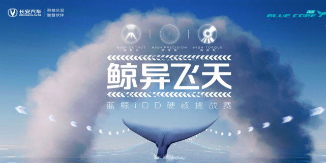 鲸鱼体育免费直播在线观看_(鲸鱼体育免费直播在线观看高清) 鲸鱼体育免费直播在线观看_(鲸鱼体育免费直播在线观看高清)