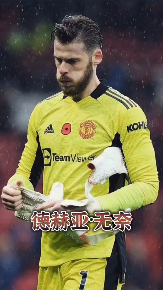 弗雷德_(弗雷德韦斯莱)