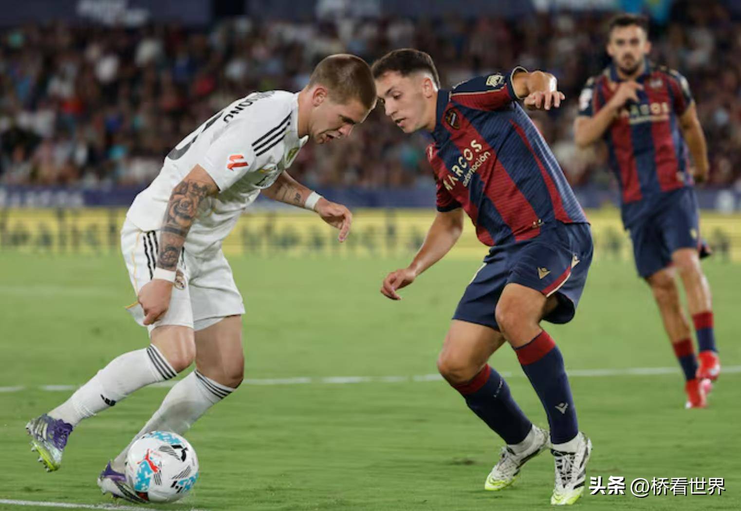 关于曝皇马正全力签下马斯坦托诺转会费4000万欧的信息