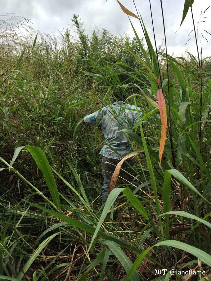 坦桑超：喷泉门VS坦桑尼亚监狱的简单介绍