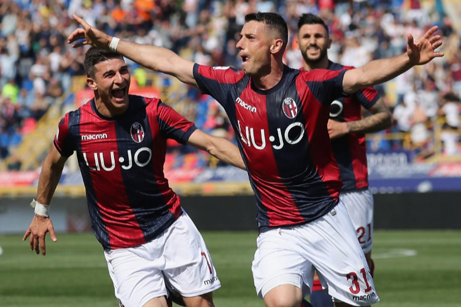 包含意丁G组：拿特多尔切VS诺切里纳的词条