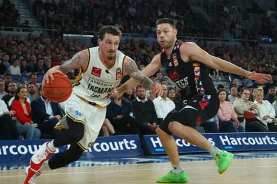 NBL:珀斯野猫VS塔斯马尼亚跳伞蚁的简单介绍