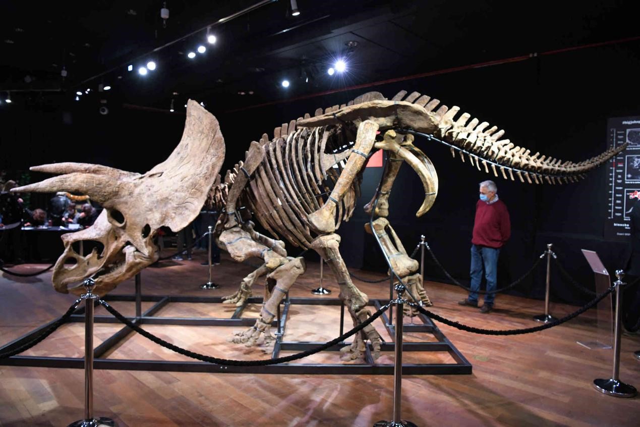 NCAA:洛约拉马利蒙特大学VS佛罗里达大西洋大学的简单介绍 NCAA:洛约拉马利蒙特大学VS佛罗里达大西洋大学的简单介绍