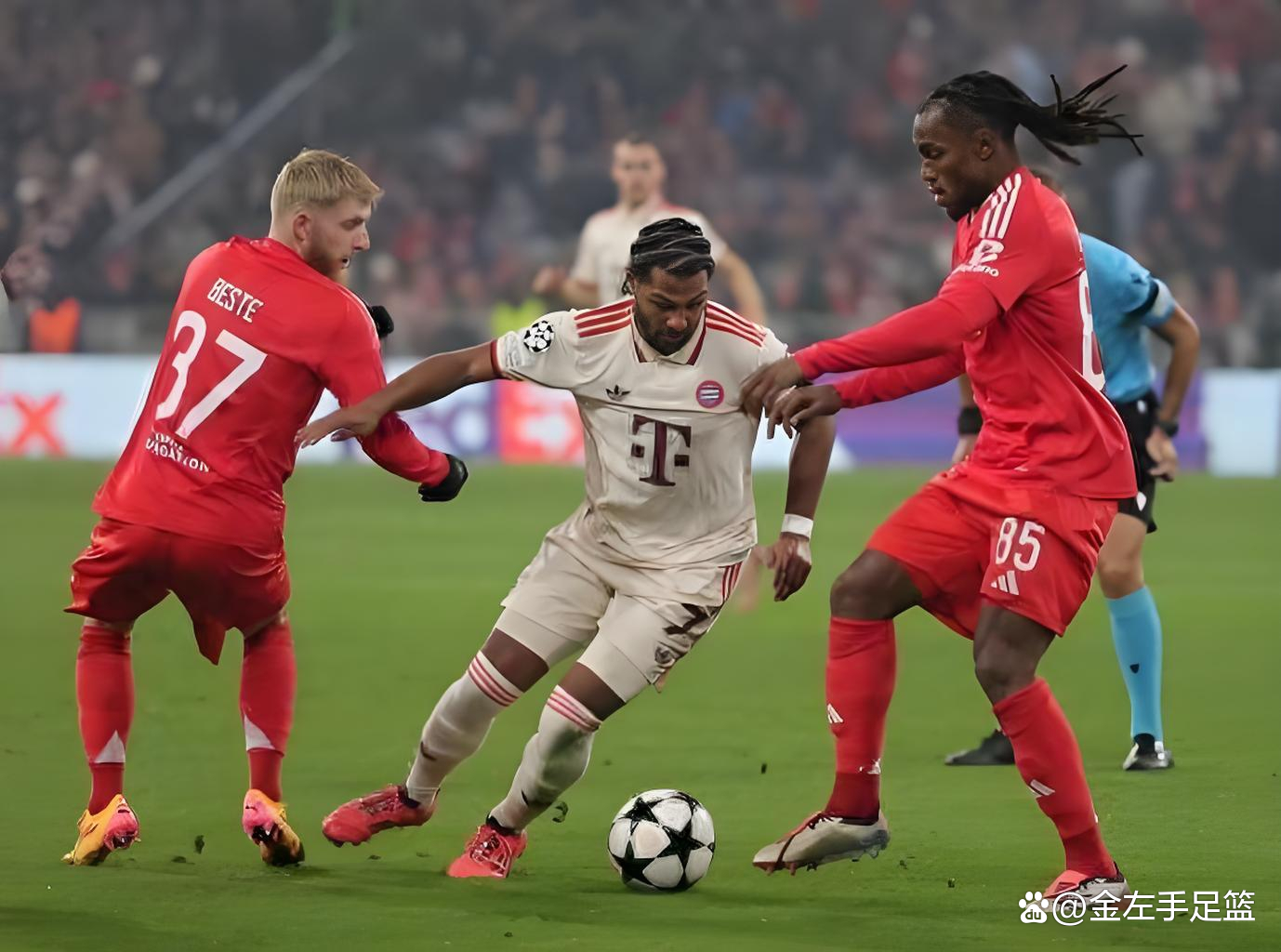 欧篮联:瓦伦西亚VS拜仁慕尼黑的简单介绍 欧篮联:瓦伦西亚VS拜仁慕尼黑的简单介绍