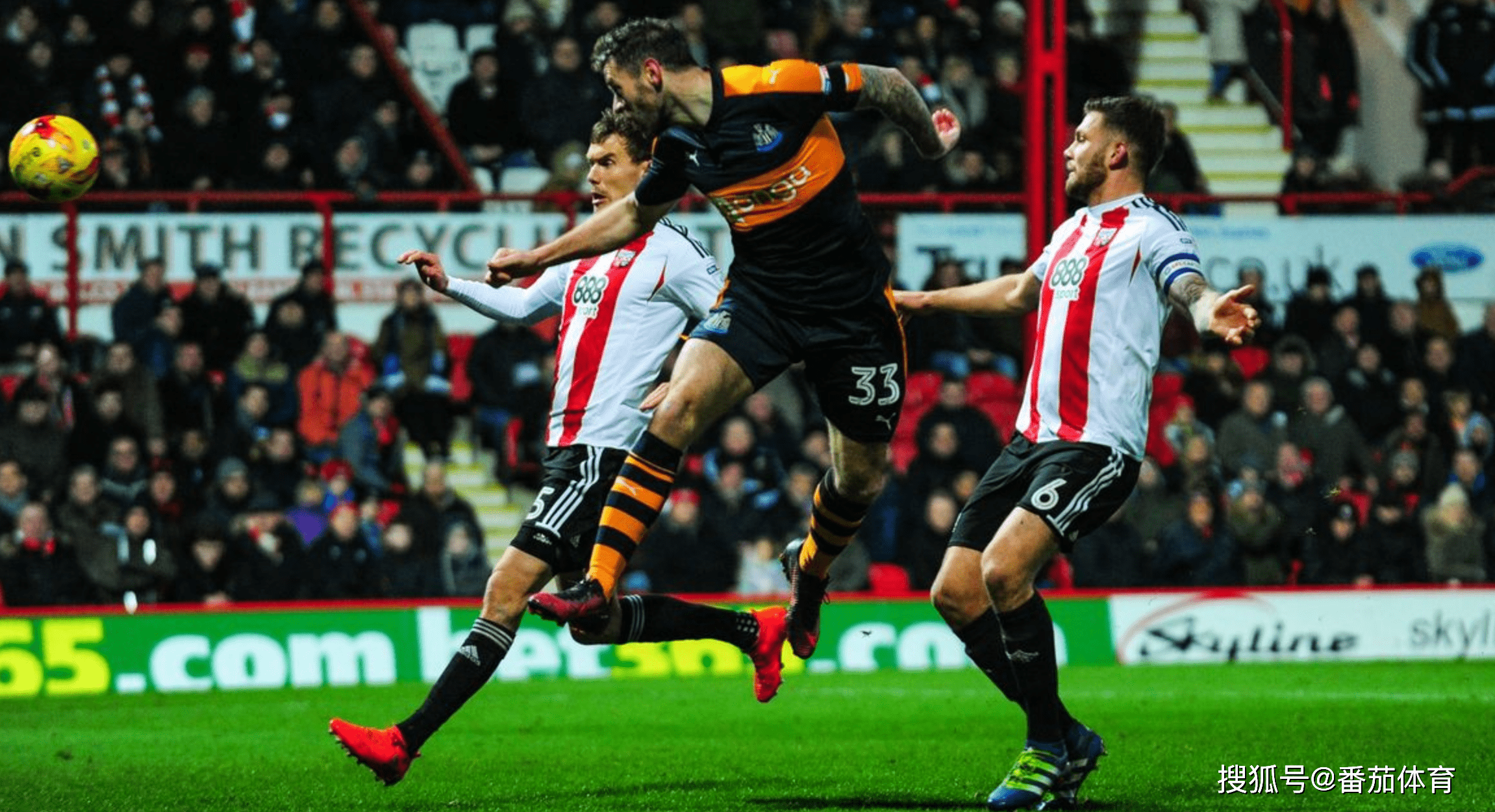 纽卡有意引进维萨布伦特福德要求高价