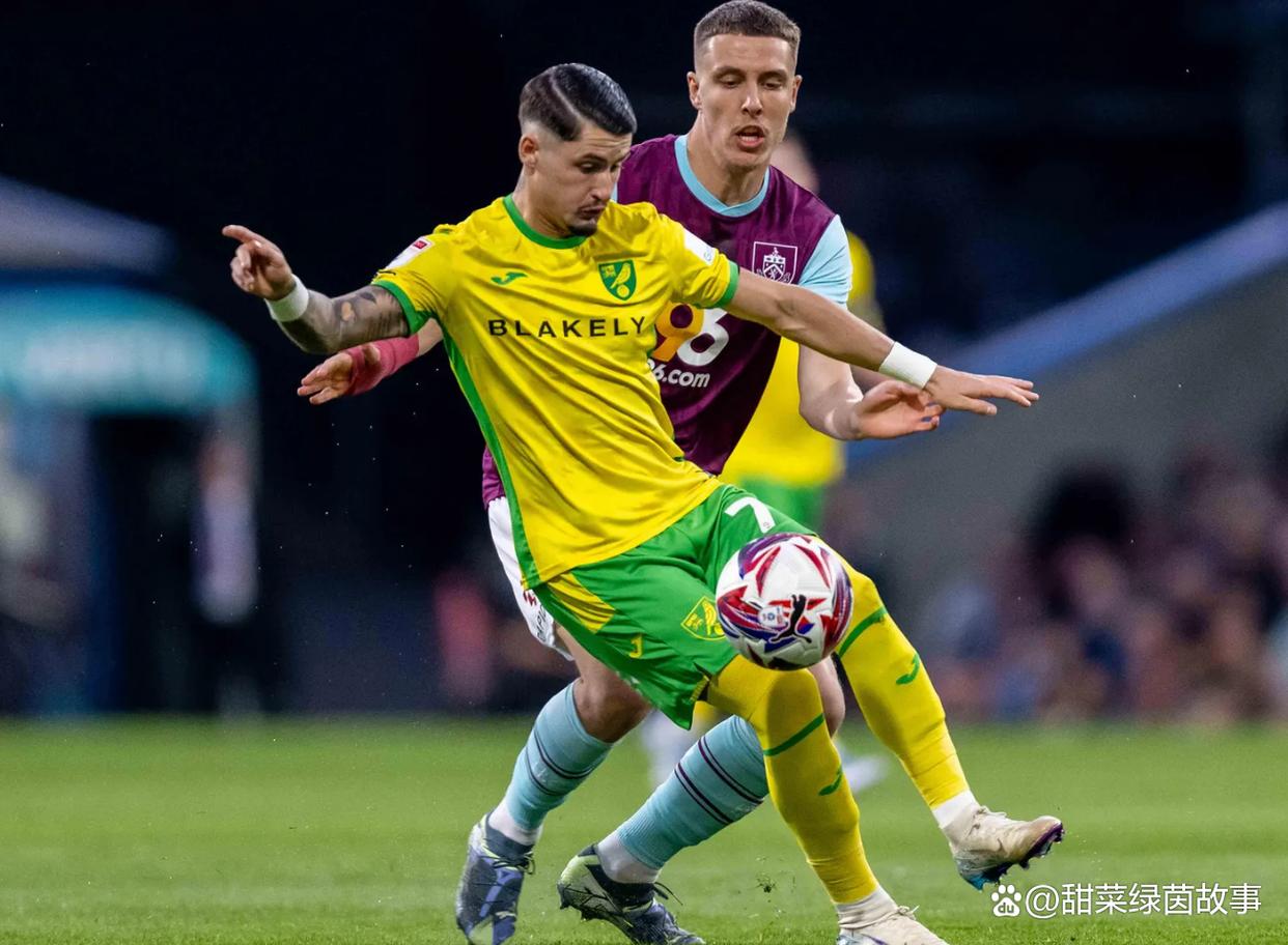 英冠米德尔斯堡vs斯旺西前瞻分析新赛季首轮双方寻求首胜的简单介绍 英冠米德尔斯堡vs斯旺西前瞻分析新赛季首轮双方寻求首胜的简单介绍