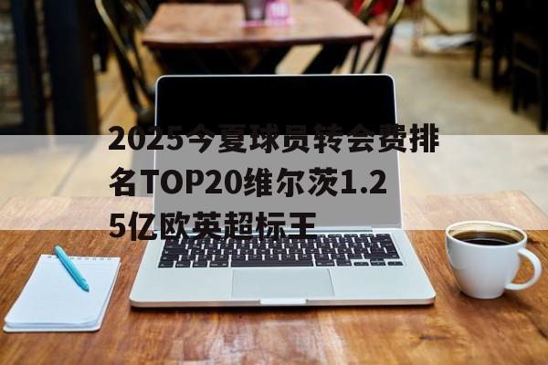 2025今夏球员转会费排名TOP20维尔茨1.25亿欧英超标王的简单介绍