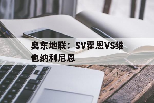 奥东地联：SV霍恩VS维也纳利尼恩的简单介绍