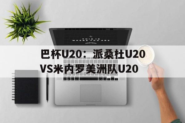 关于巴杯U20：派桑杜U20VS米内罗美洲队U20的信息