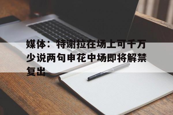 媒体：特谢拉在场上可千万少说两句申花中场即将解禁复出的简单介绍