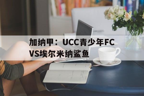 加纳甲：UCC青少年FCVS埃尔米纳鲨鱼的简单介绍