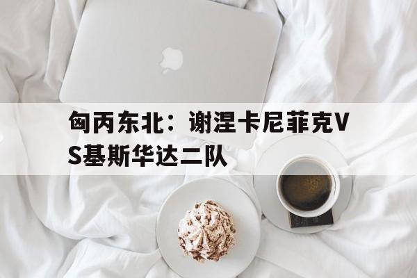 关于匈丙东北：谢涅卡尼菲克VS基斯华达二队的信息