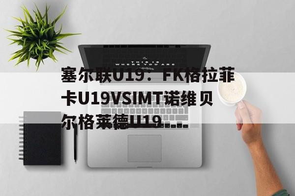 关于塞尔联U19：FK格拉菲卡U19VSIMT诺维贝尔格莱德U19的信息