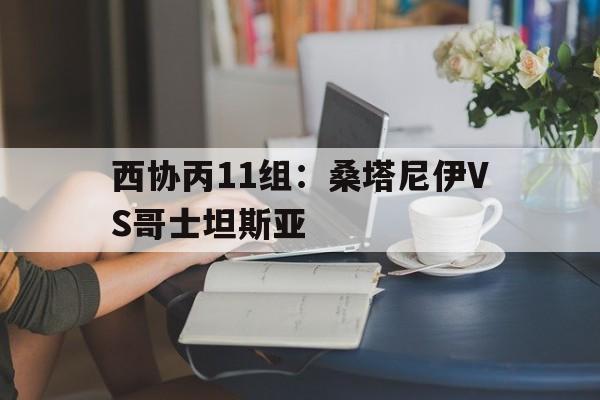 关于西协丙11组：桑塔尼伊VS哥士坦斯亚的信息