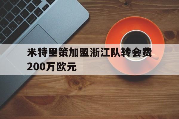 米特里策加盟浙江队转会费200万欧元的简单介绍  第1张