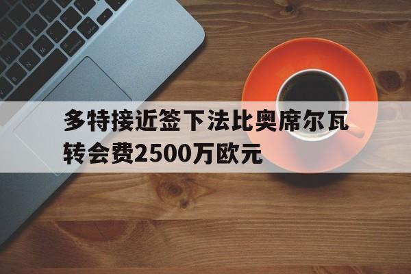 关于多特接近签下法比奥席尔瓦转会费2500万欧元的信息
